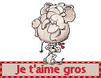 Gif animé je t'aime gros